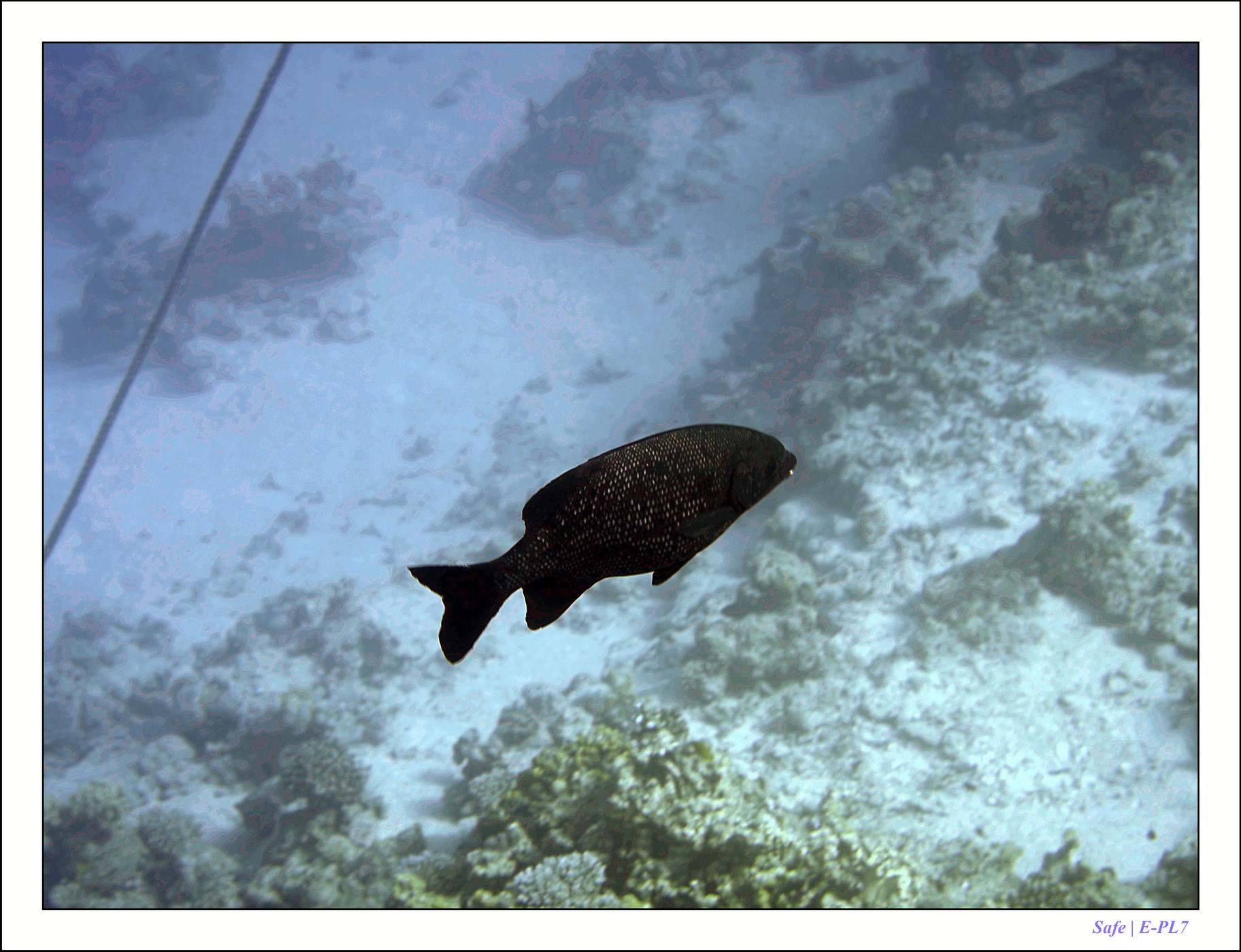 2023 - 03 - Charm El Sheikh - 08